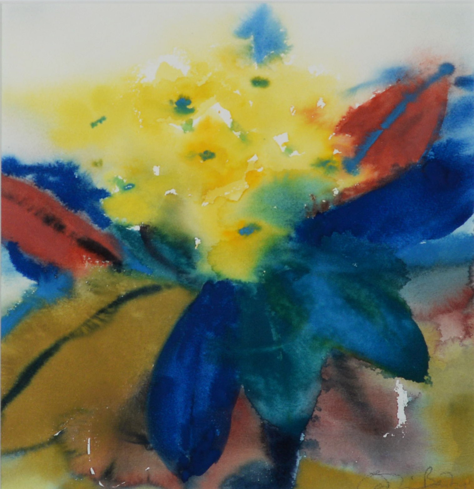 CAROLINE BAILEY (b.1953) WATERCOLOUR ‘Yellow Primula’ Signed, titled to ‘The Gallery’ Manchester,