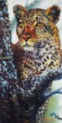 ROLF HARRIS (b.1930) ARTIST SIGNED LIMITED EDITION COLOUR PRINT ON PAPER ‘Alert for Prey II’ (107/