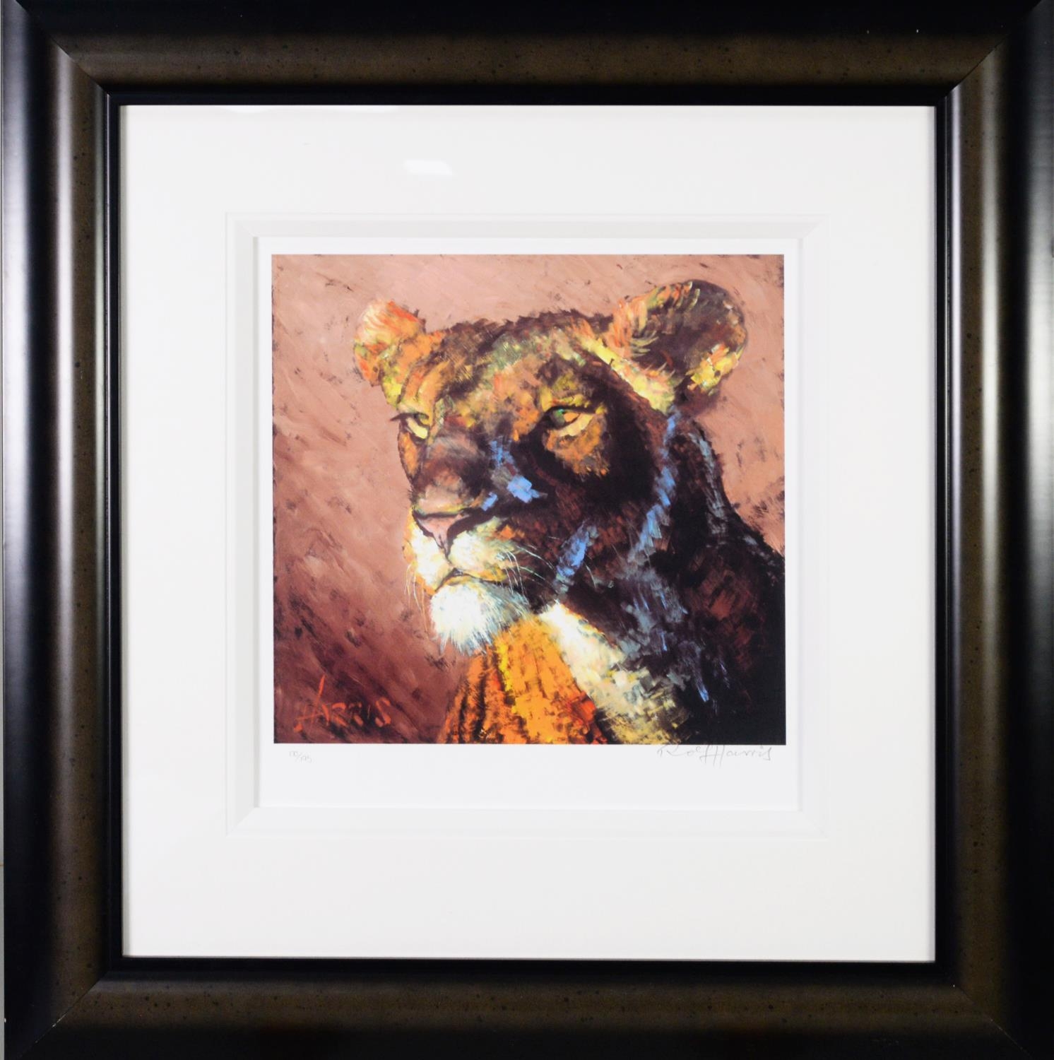 ROLF HARRIS ARTIST SIGNED LIMITED EDITION COLOUR PRINT Lioness (170/195) no certificate 12” x 13” ( - Image 2 of 2