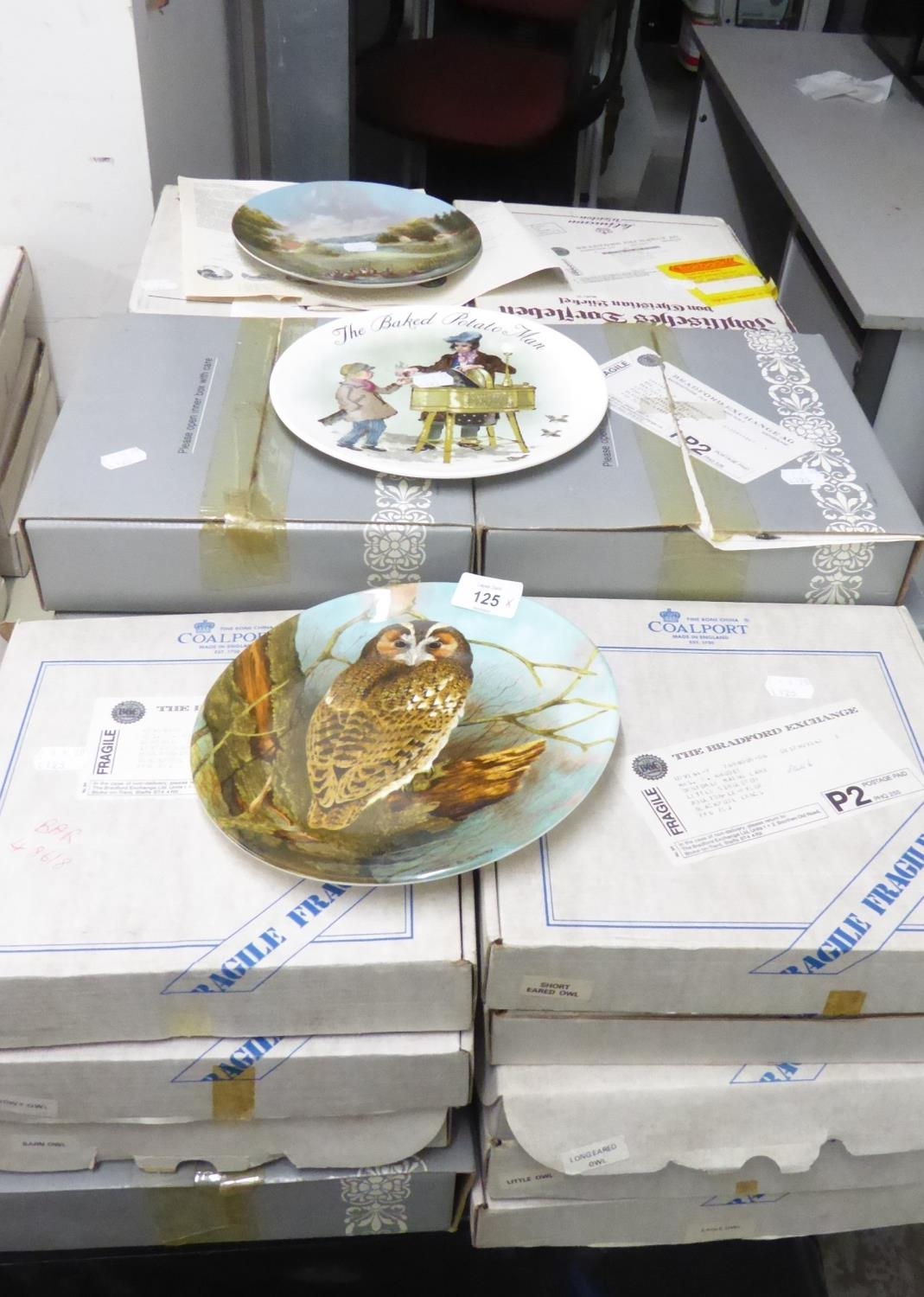 A SET OF EIGHT COALPORT 'OWL SERIES', COLLECTORS PLATES, 'TAWNY OWL', 'EAGLE OWL', ETC.. NINE