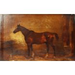 G COLE (Late Nineteenth Century) OIL PAINTING ON CANVAS A bay horse in a stable Inscribed in