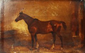 G COLE (Late Nineteenth Century) OIL PAINTING ON CANVAS A bay horse in a stable Inscribed in