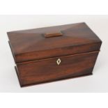 EARLY NINETEENTH CENTURY MAHOGANY TEA CADDY, of sarcophagus form with twin lidded compartments to