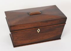 EARLY NINETEENTH CENTURY MAHOGANY TEA CADDY, of sarcophagus form with twin lidded compartments to