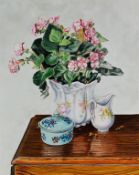 BRITISH SCHOOL (Modern) OIL PAINTING ON CANVAS Still Life of a flowering plant in ceramic pot with a
