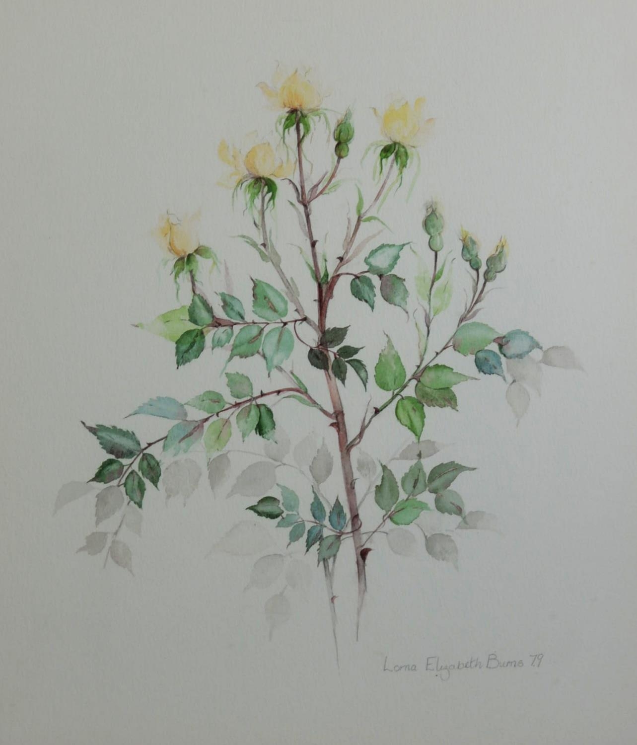 LORNA ELIZABETH BURNS (TWENTIETH CENTURY) SUITE OF TWELVE WATERCOLOUR DRAWINGS IN SETS OF FOUR - Image 7 of 7