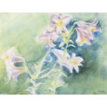 PAUL TAGGART (TWENTIETH/ TWENTY FIRST CENTURY) TWO WATERCOLOURS Still life- lilies, (19)95 Signed 12