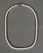 SINGLE STRAND NECKLACE OF UNIFORM CULTURED PEARLS with 9ct gold trigger clasp, 16in (41cm) long