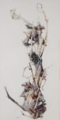 ALBERT B. OGDEN (b. 1928) WATERCOLOUR ‘Vine Stock’ Initialled, titled to label verso 18” x 9” (45.