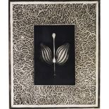 RADOVAN KRAGULY (b.1935) ARTIST SIGNED LIMITED EDITION BLACK AND WHITE PRINT ‘Flower’ (9/75) 18” x
