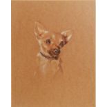 MINNIE WILSON CHARCOAL DRAWING Head of a dog Signed 14 1/4in x 10 1/2in (36.1 x 26.6cm) and