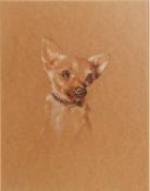 MINNIE WILSON CHARCOAL DRAWING Head of a dog Signed 14 1/4in x 10 1/2in (36.1 x 26.6cm) and