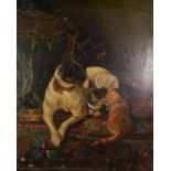 LATE 19th/EARLY 20th CENTURY ENGLISH SCHOOL OIL PAINTING Terrier lying down with two kittens 30in
