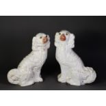 PAIR OF NINETEENTH CENTURY STAFFORDSHIRE POTTERY MANTLE DOG, each typical modelled and with burnt