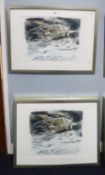JAL POV? TWO PAIRS OF ARTIST SIGNED LIMITED EDITION COLOUR PRINTS Oyster Catchers Wolf’s Winter