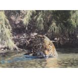 SIMON COMBES TWO ARTIST SIGNED COLOUR PRINTS OF WILD CATS ‘From the Shadows’, on canvas, with
