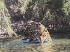 SIMON COMBES TWO ARTIST SIGNED COLOUR PRINTS OF WILD CATS ‘From the Shadows’, on canvas, with