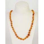 SINGLE STRAND NECKLACE OF GRADUATED OVAL TRANSLUSCENT GOLDEN AMBER BEADS with metal trigger clasp,