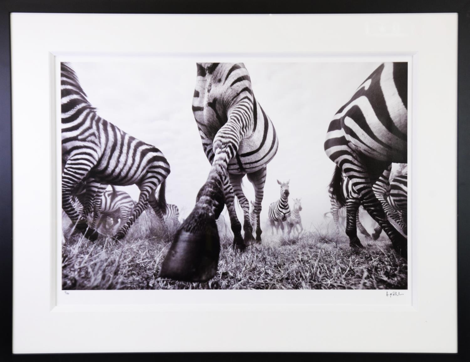 ANUP SHAH (b.1949) ARTIST SIGNED LIMITED EDITION BLACK AND WHITE PHOTOGRAPHIC PRINT ‘Onward’ (8/150) - Image 2 of 2