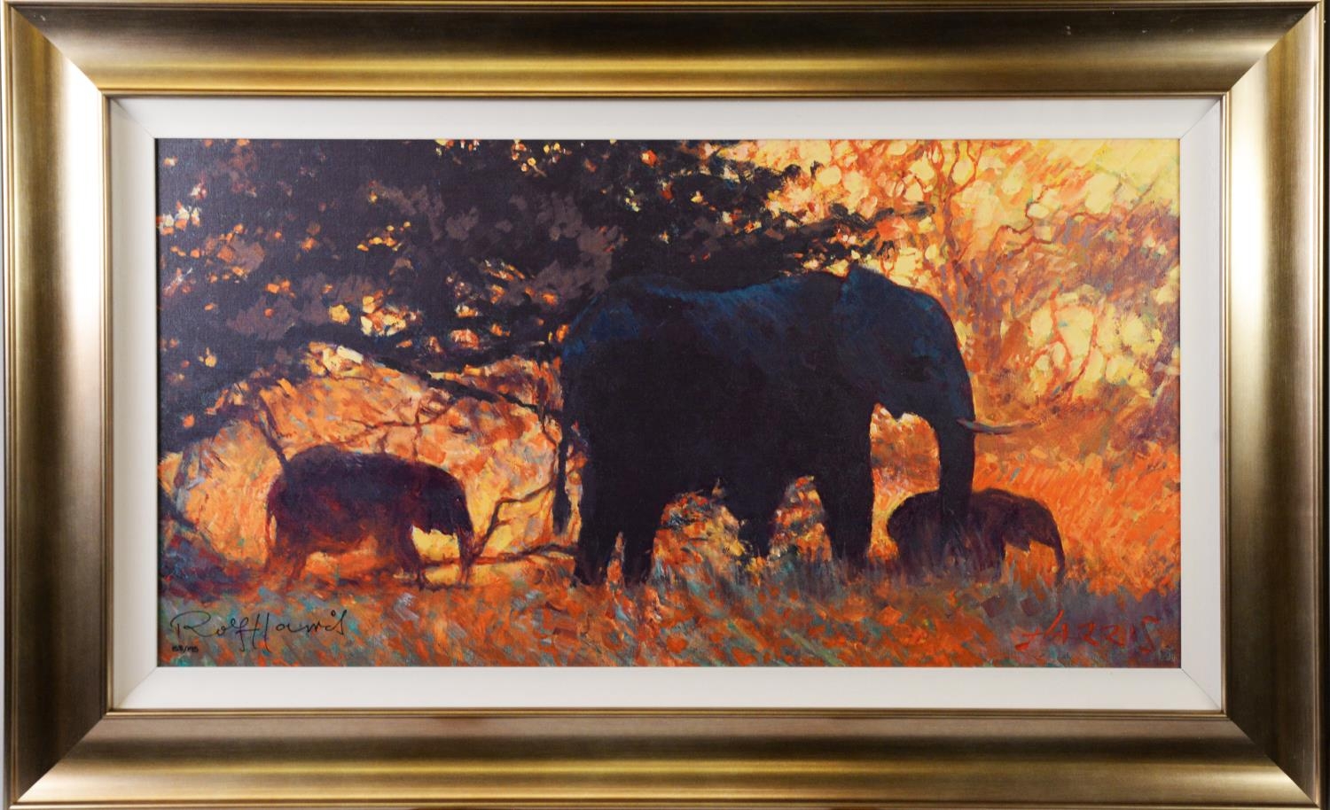 ROLF HARRIS (1930-2023) ARTIST SIGNED LIMITED EDITION COLOUR PRINT ON CANVAS ‘Backlit Gold’ (158/ - Image 2 of 2