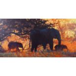 ROLF HARRIS (1930-2023) ARTIST SIGNED LIMITED EDITION COLOUR PRINT ON CANVAS ‘Backlit Gold’ (158/