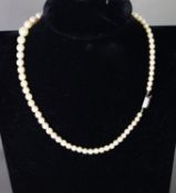 SINGLE STRAND NECKLACE OF GRADUATED CULTURED PEARLS with silver oblong clasp, 15 ½” (39.3cm) long