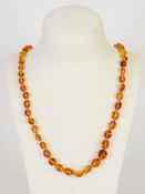 SINGLE STRAND NECKLACE OF GRADUATED OVAL TRANSLUSCENT GOLDEN AMBER BEADS with metal trigger clasp,