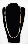 SINGLE STRAND NECKLACE OF GRADUATED CULTURED PEARLS, the 9ct gold lozenge shaped clasp set with
