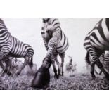 ANUP SHAH (b.1949) ARTIST SIGNED LIMITED EDITION BLACK AND WHITE PHOTOGRAPHIC PRINT ‘Onward’ (8/150)