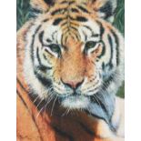 TONY FORREST (1961) ARTIST SIGNED LIMITED EDITION COLOUR PRINT ‘Wild Thing’, (57/195), with
