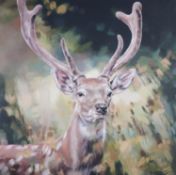 DEBBIE BOON (MODERN) ARTIST SIGNED LIMITED EDITION COLOUR PRINT ‘Contemplating’ (30/95) with