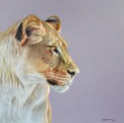 DARRYN EGGLETON (b.1981) ARTIST SIGNED LIMITED EDITION COLOUR PRINT ‘Queen of the Savannah’ (140/