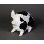 WEMYSS POTTERY PIG, modelled with front legs raised, and painted with black patches and pink