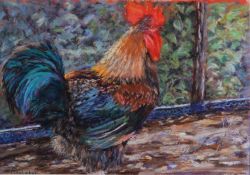 GAIL CARDOW (MODERN) PASTEL ‘King of the Coop’ Signed, titled to label verso 12 ¾” x 18” (32.3cm x