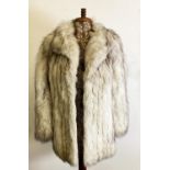 LADY'S SILVER FOX FUR THREE-QUARTER LENGTH JACKET, with short collar and single breasted hook