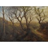 UNATTRIBUTED (NINETEENTH CENTURY) OIL ON CANVAS Country path running through a wooded landscape