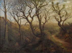 UNATTRIBUTED (NINETEENTH CENTURY) OIL ON CANVAS Country path running through a wooded landscape