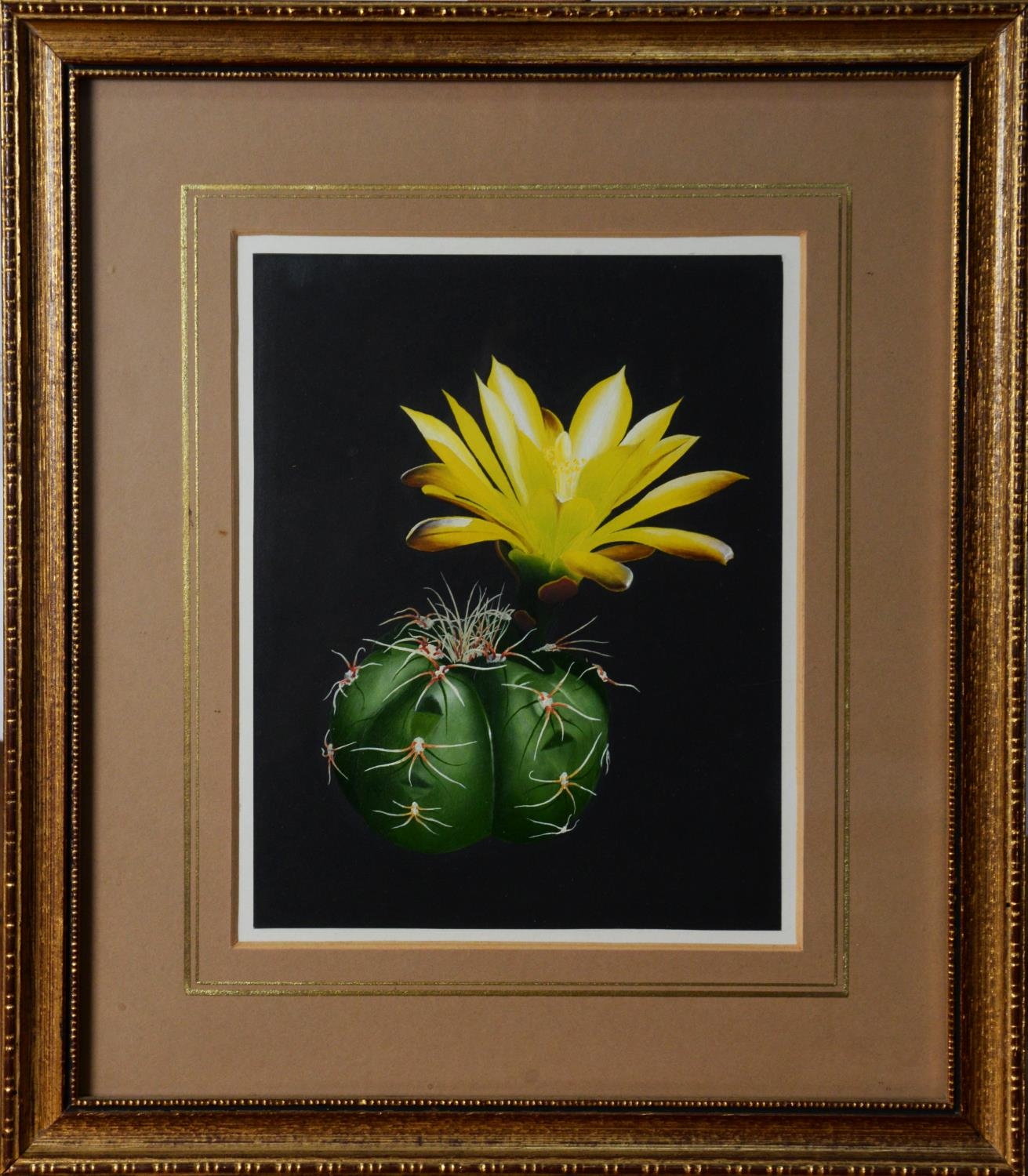 WILLIAM F GOULDING (TWENTIETH/ TWENTY FIRST CENTURY) THREE SMALL OIL PAINTINGS ‘Flowering Cactus - Image 5 of 5