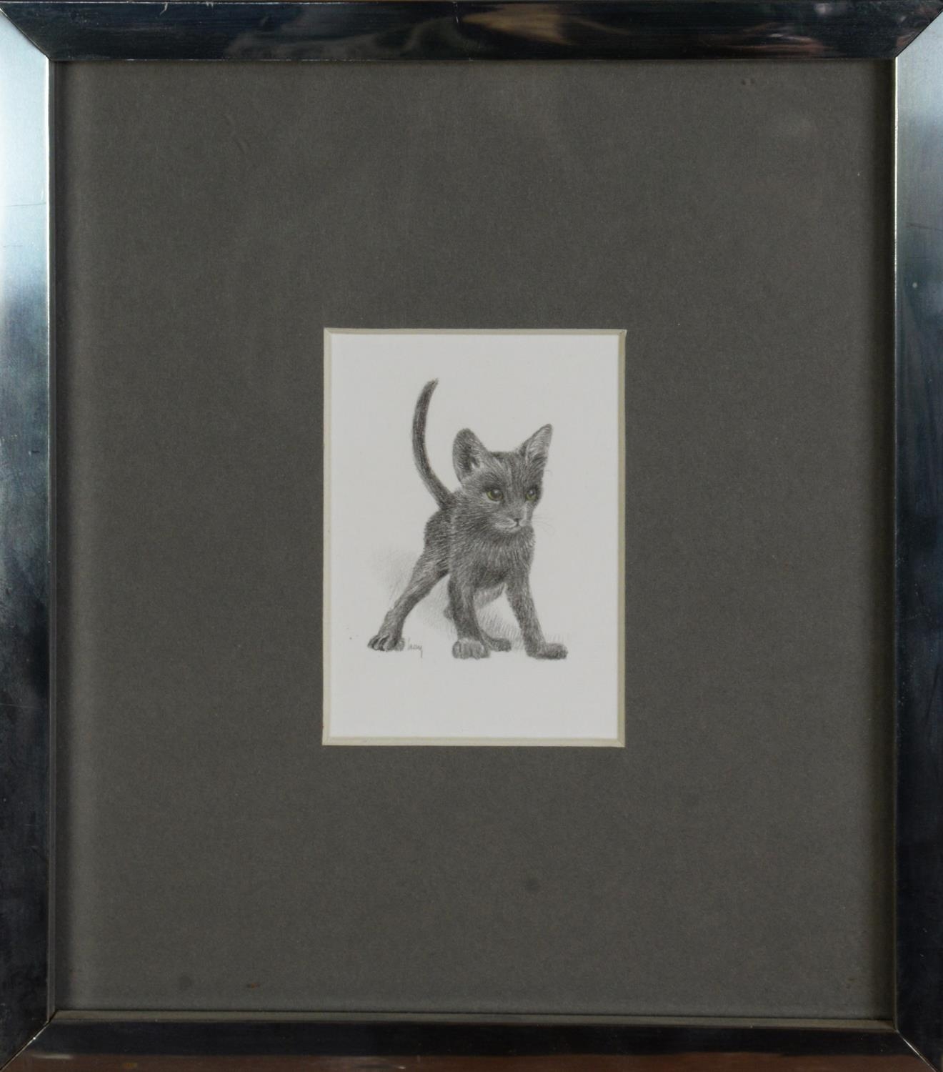 JAMES LACY (TWENTIETH/ TWENTY FIRST CENTURY) PENCIL ‘Shorthair Blue’, a kitten Signed lower left and - Image 2 of 2