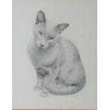 JAMES LACY (TWENTIETH/ TWENTY FIRST CENTURY) PENCIL ‘Solveib’, cat  Signed and titled 14” x 11” (