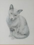 JAMES LACY (TWENTIETH/ TWENTY FIRST CENTURY) PENCIL ‘Solveib’, cat  Signed and titled 14” x 11” (