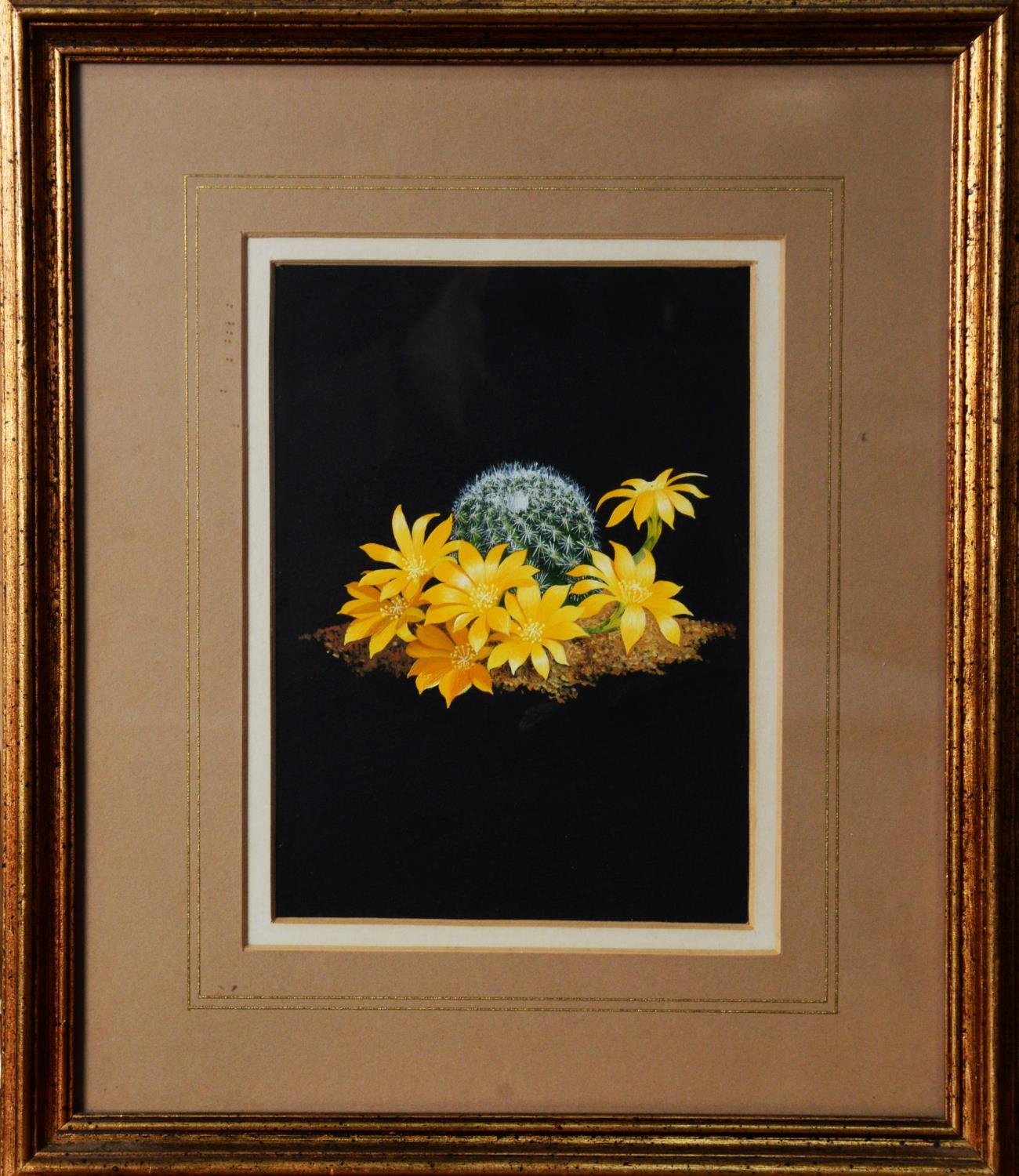 WILLIAM F GOULDING (TWENTIETH/ TWENTY FIRST CENTURY) THREE SMALL OIL PAINTINGS ‘Flowering Cactus - Image 4 of 5