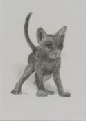 JAMES LACY (TWENTIETH/ TWENTY FIRST CENTURY) PENCIL ‘Shorthair Blue’, a kitten Signed lower left and