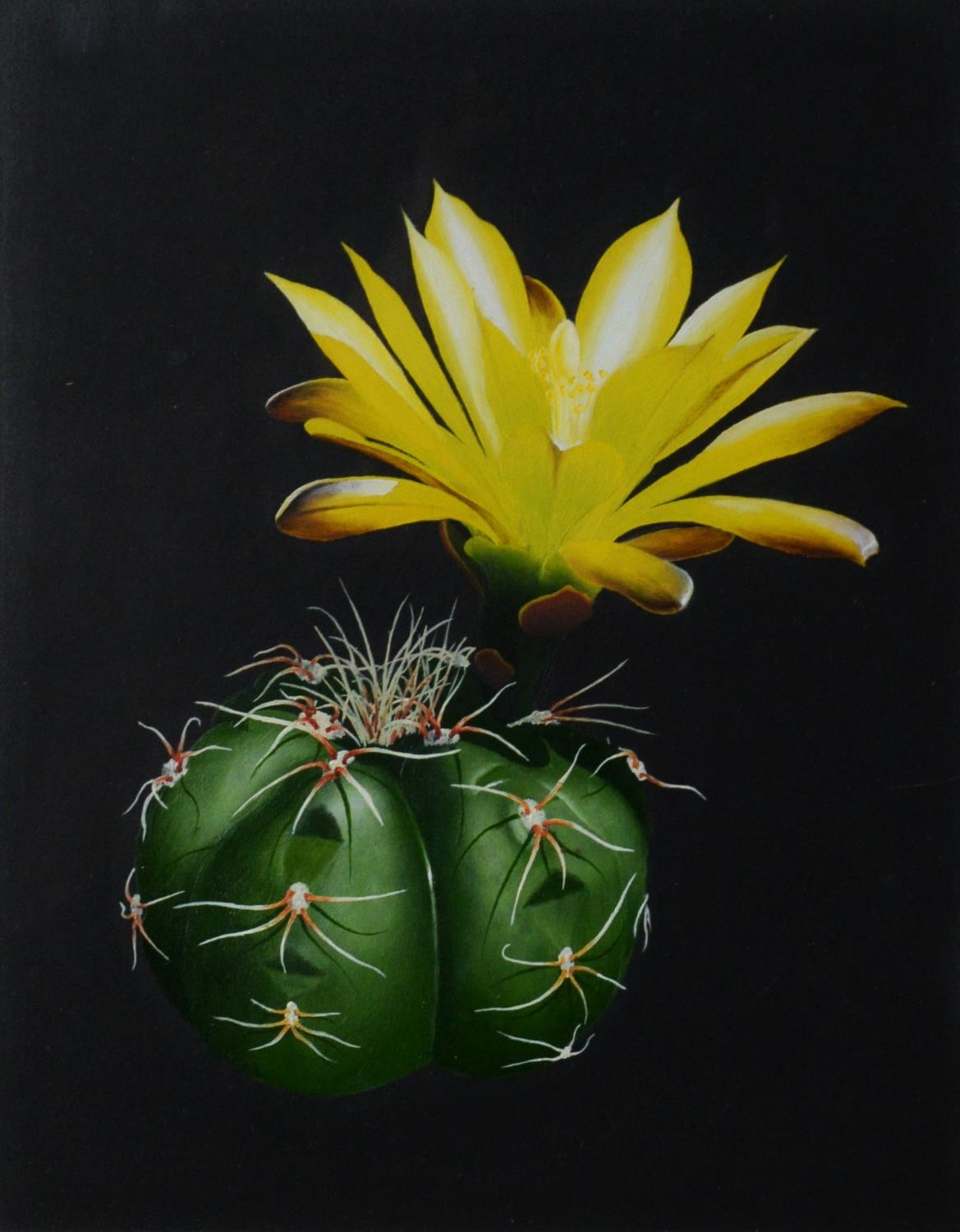 WILLIAM F GOULDING (TWENTIETH/ TWENTY FIRST CENTURY) THREE SMALL OIL PAINTINGS ‘Flowering Cactus - Image 2 of 5
