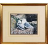 RALPH WATERHOUSE ARTIST SIGNED COLOUR PRINT Two gulls on nest Signed to the mount 6 ¼” x 8 ¼” (15.