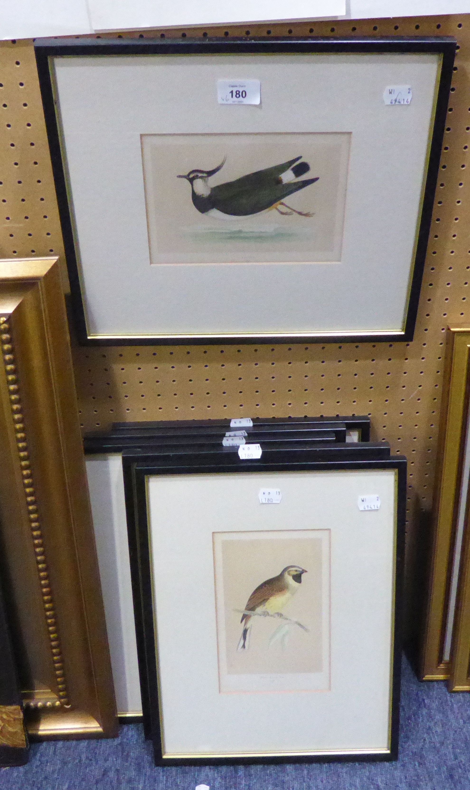 SIX FRAMED BOOK PLATE COLOUR PRINTS OF INDIVIDUAL BIRDS