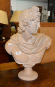 GRECIAN BUST, IN RESIN