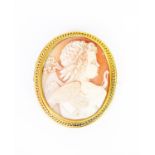 VICTORIAN WELL-CARVED OVAL SHELL CAMEO BROOCH depicting cupid with bow and quiver of arrows, in gold