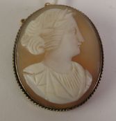 A CARVED SHELL CAMEO BROOCH, depicting a classical female bust, in a gilt metal rope frame, 4cm by
