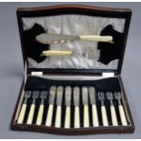 CASED SET OF SIX PAIRS OF SILVER BLADED FISH EATERS AND SERVERS, with bone handles, Sheffield